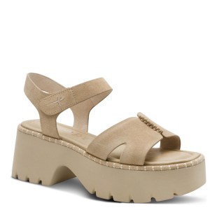 001-28377-46-341-300-1771238774